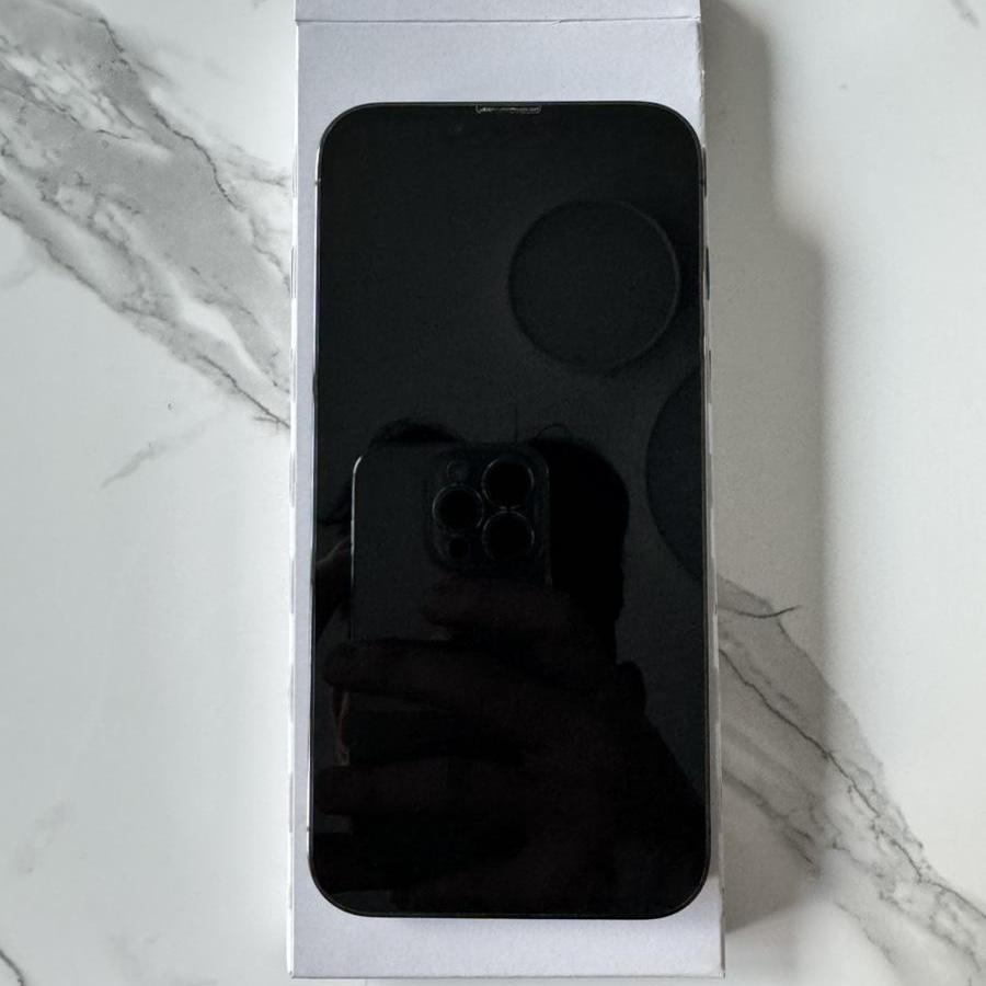 아이폰 13 프로 256 그래파이트